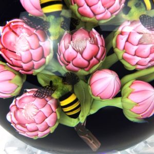 Pink Protea Flowers & Honeybees by Clinton Smith